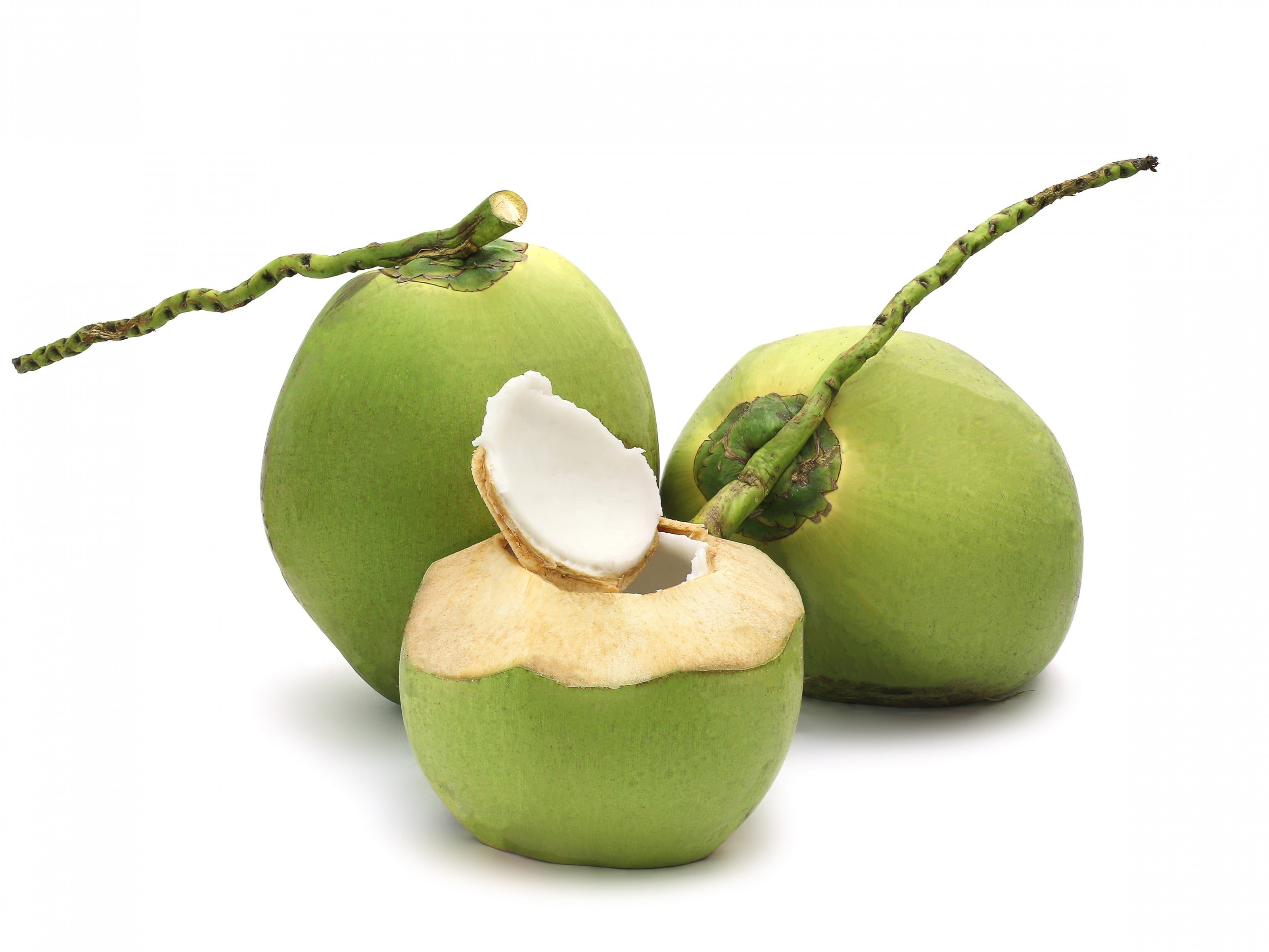 Fresh Whole Young Coconut.